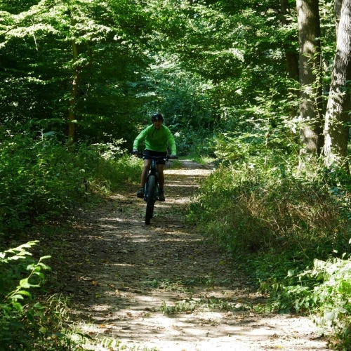 DESCOPERĂ ÎMPREJURIMILE TÂRGU MUREȘULUI PE E-BIKE