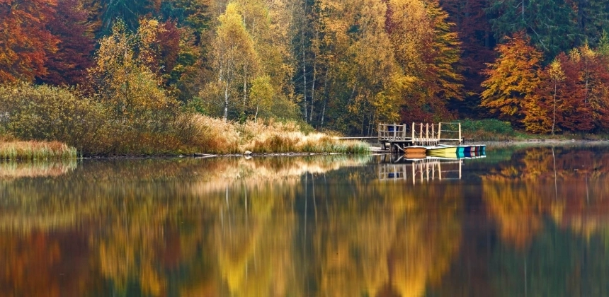 FOTOGRAFIA DE NATURĂ - SFATURI/TRUCURI ÎN ZORII ZILEI