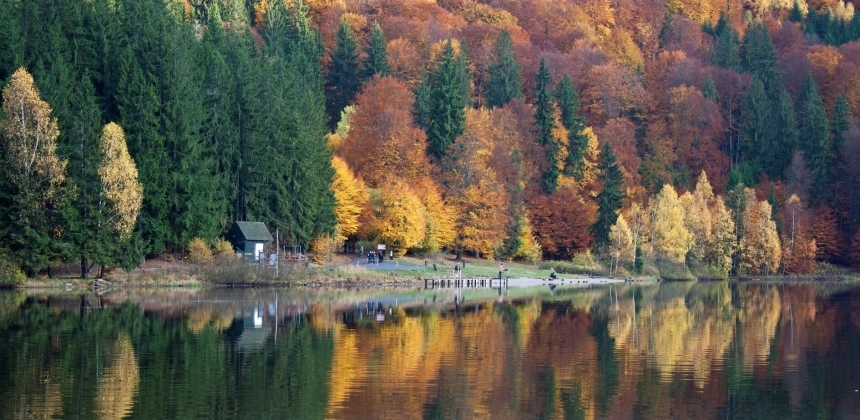 FOTOGRAFIA DE NATURĂ - TIPS/TRICKS
