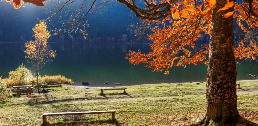 FOTOGRAFIA DE NATURĂ - TIPS/TRICKS
