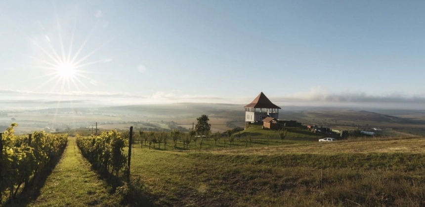 SAVOARE ȘI PANORAMĂ LA CRAMA VILLA VINÈA