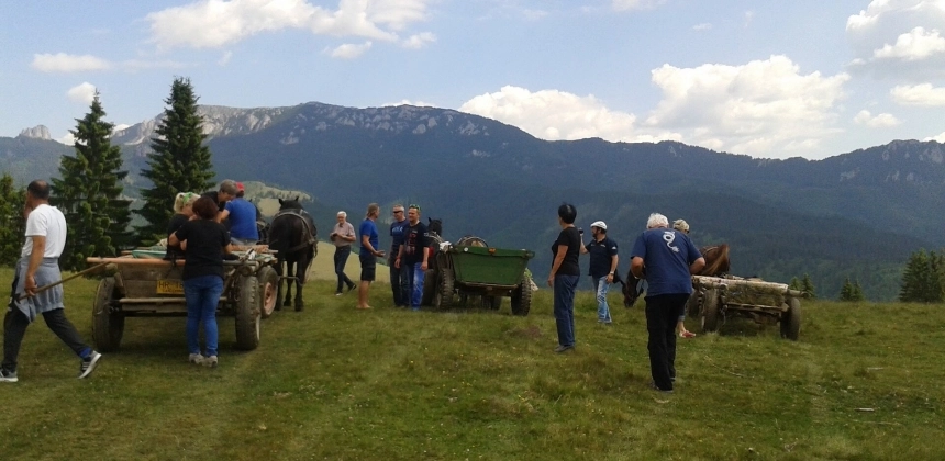 EXCURSIE CU CĂRUȚE ȘI CAI ÎN MUNȚII CIUCULUI