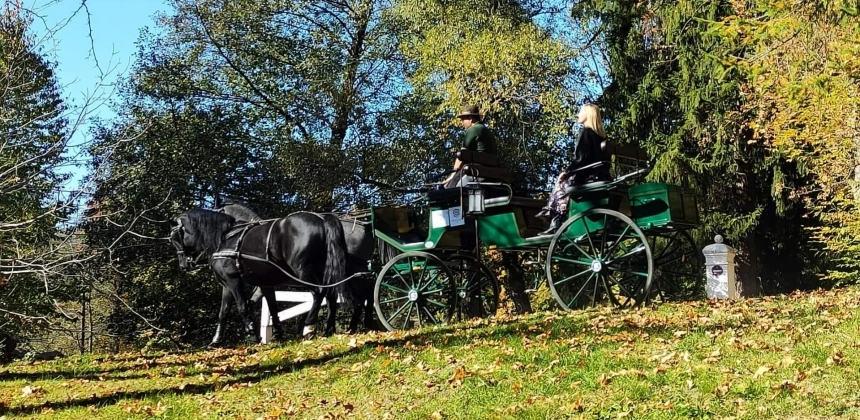 EXCURSIE CU CALEAȘCA SAU SANIA PE DOMENIUL MIKES