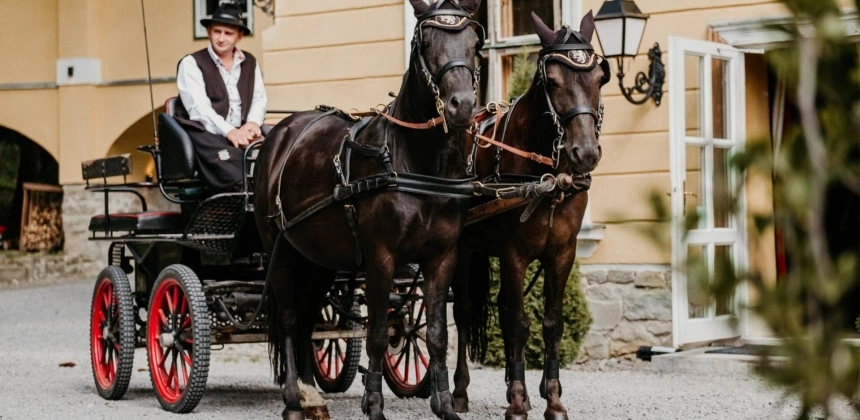 LUX ȘI RĂSFĂȚ ÎN STIL ARISTOCRATIC