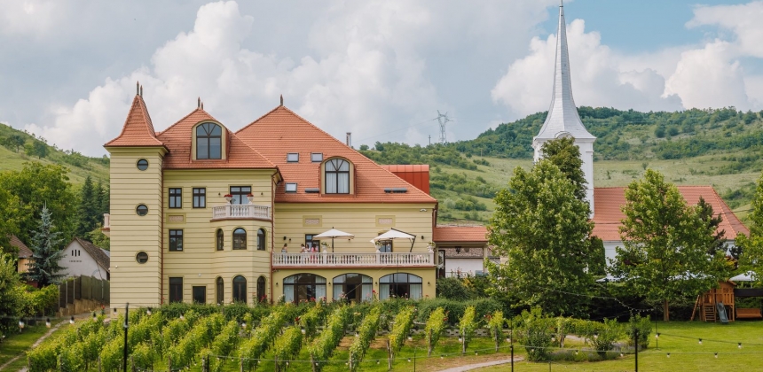RELAXARE ÎNTRE ZIDURILE UNUI CONAC ISTORIC